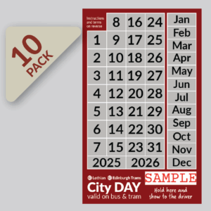 Adult DAYtickets – Pack of 10