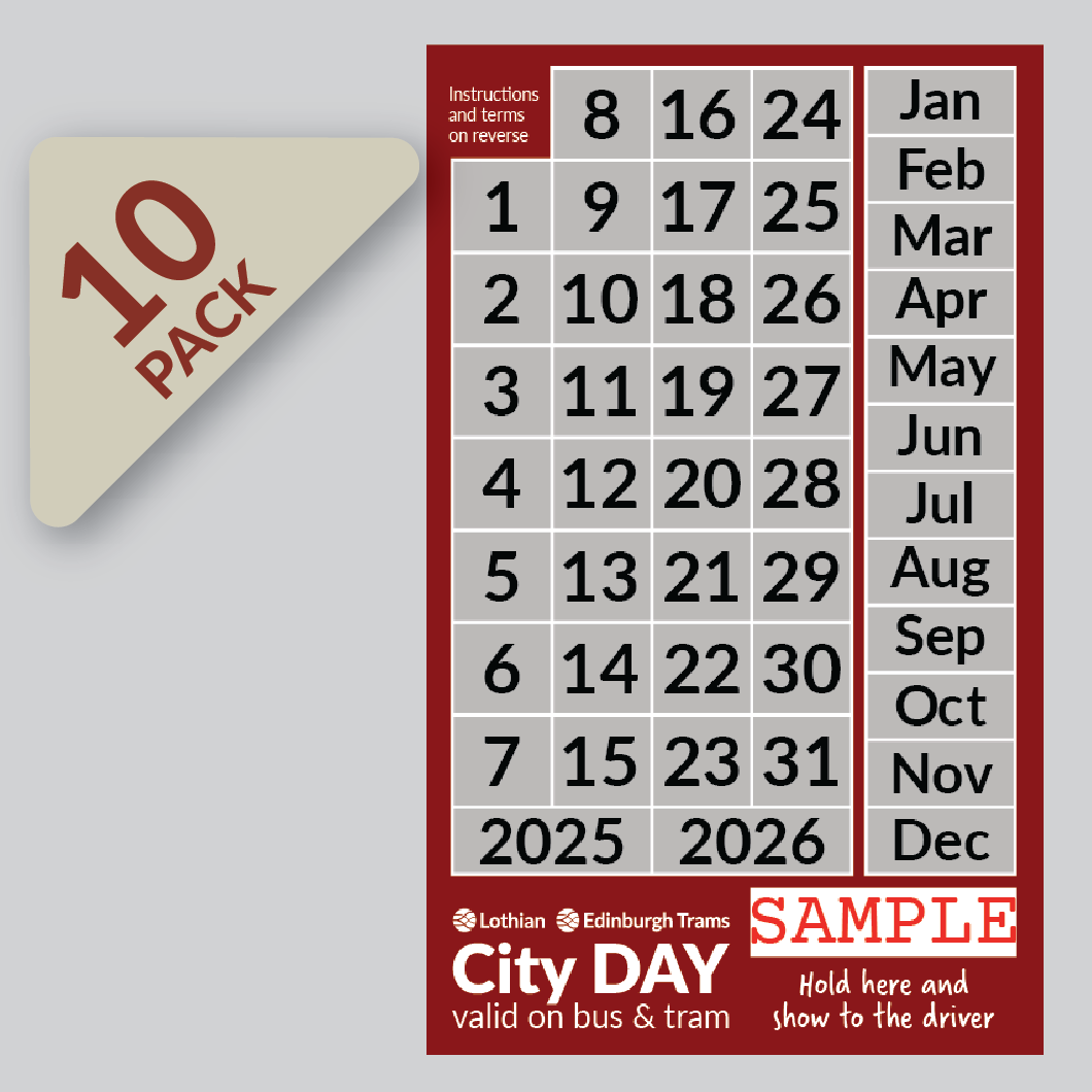 Adult DAYtickets – Pack of 10