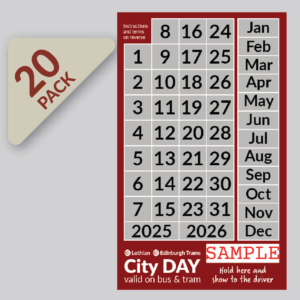 Adult DAYtickets – Pack of 20 *BEST VALUE*