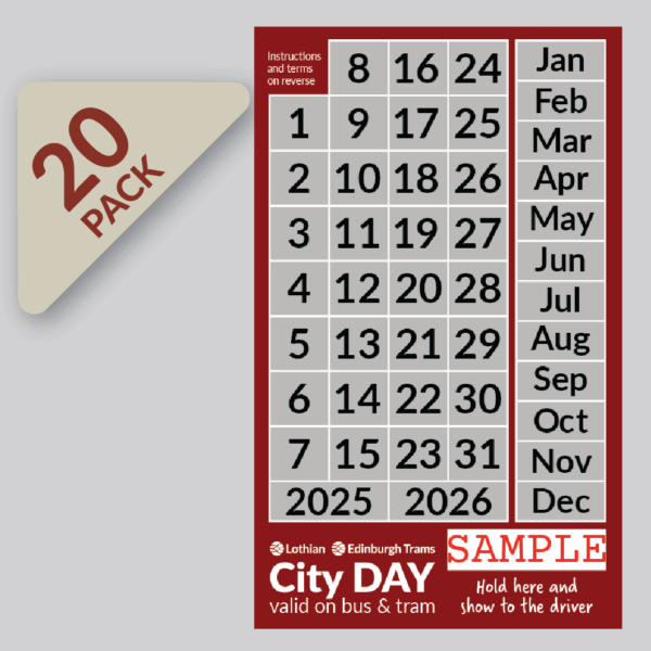 Adult DAYtickets – Pack of 20 *BEST VALUE*